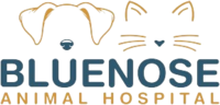 A logo of bueno al hospital