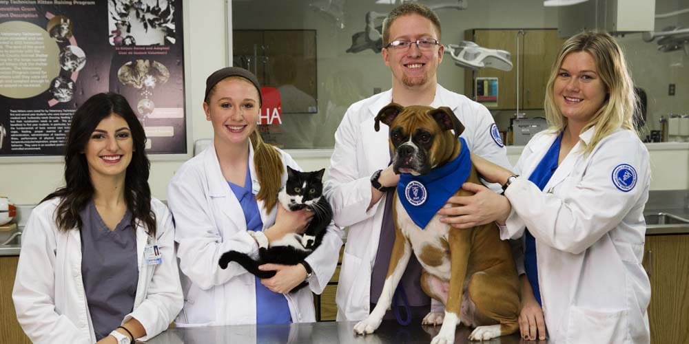 A couple of people holding cats and a dog.