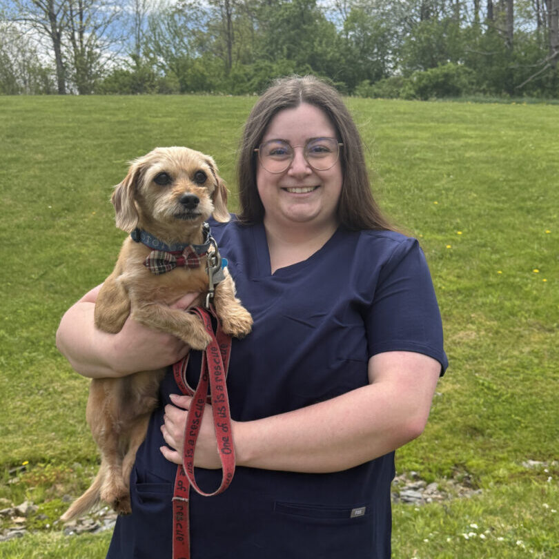 Smiling person holding small dog outdoors
